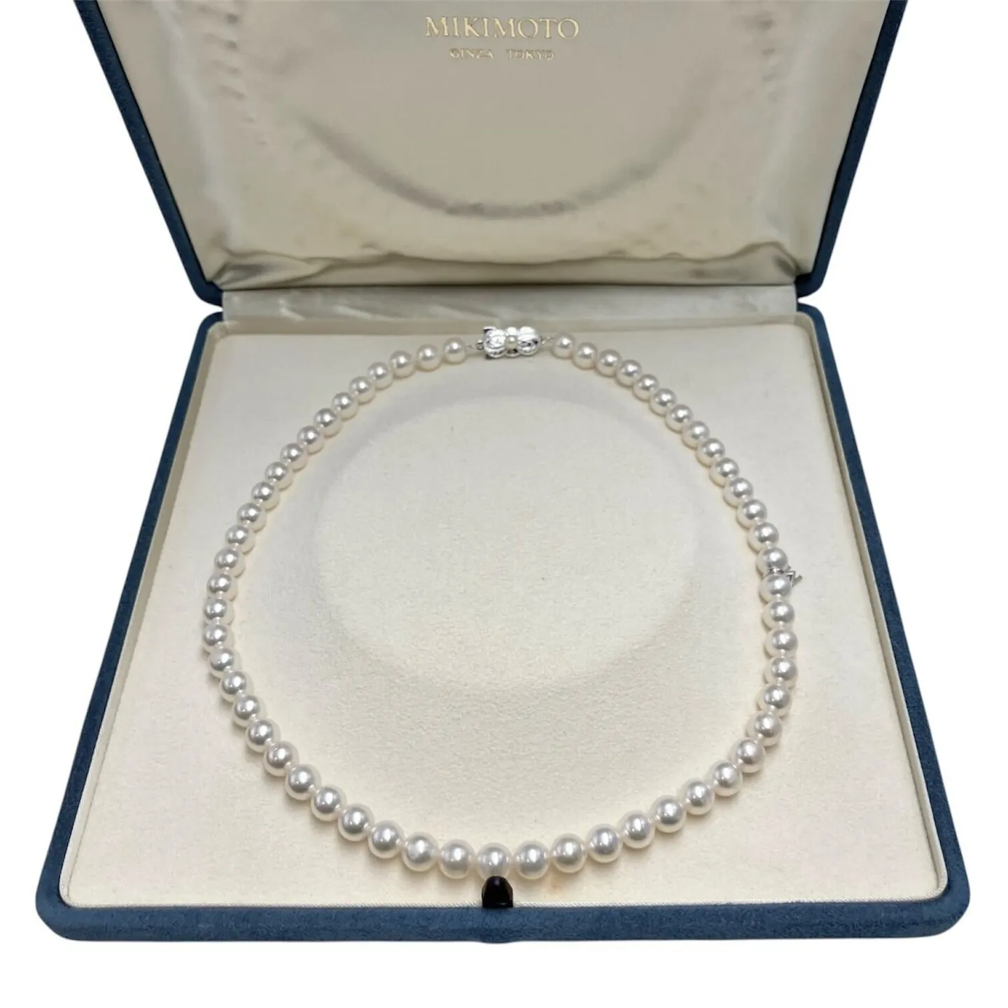 皆様、こんにちは😊✨